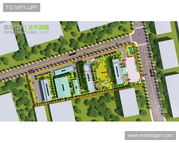 全面解析回力球场平面图的标准尺寸与布局优化方案，提升场地使用效率