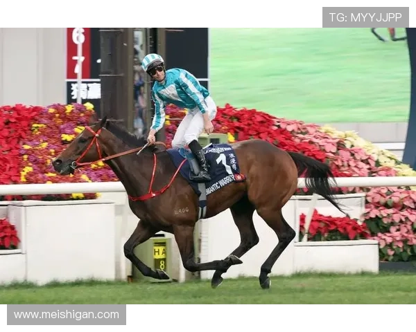 在hkjc官方网站上获取实时赛马直播、赛事分析及专业投注建议，提升投注成功率